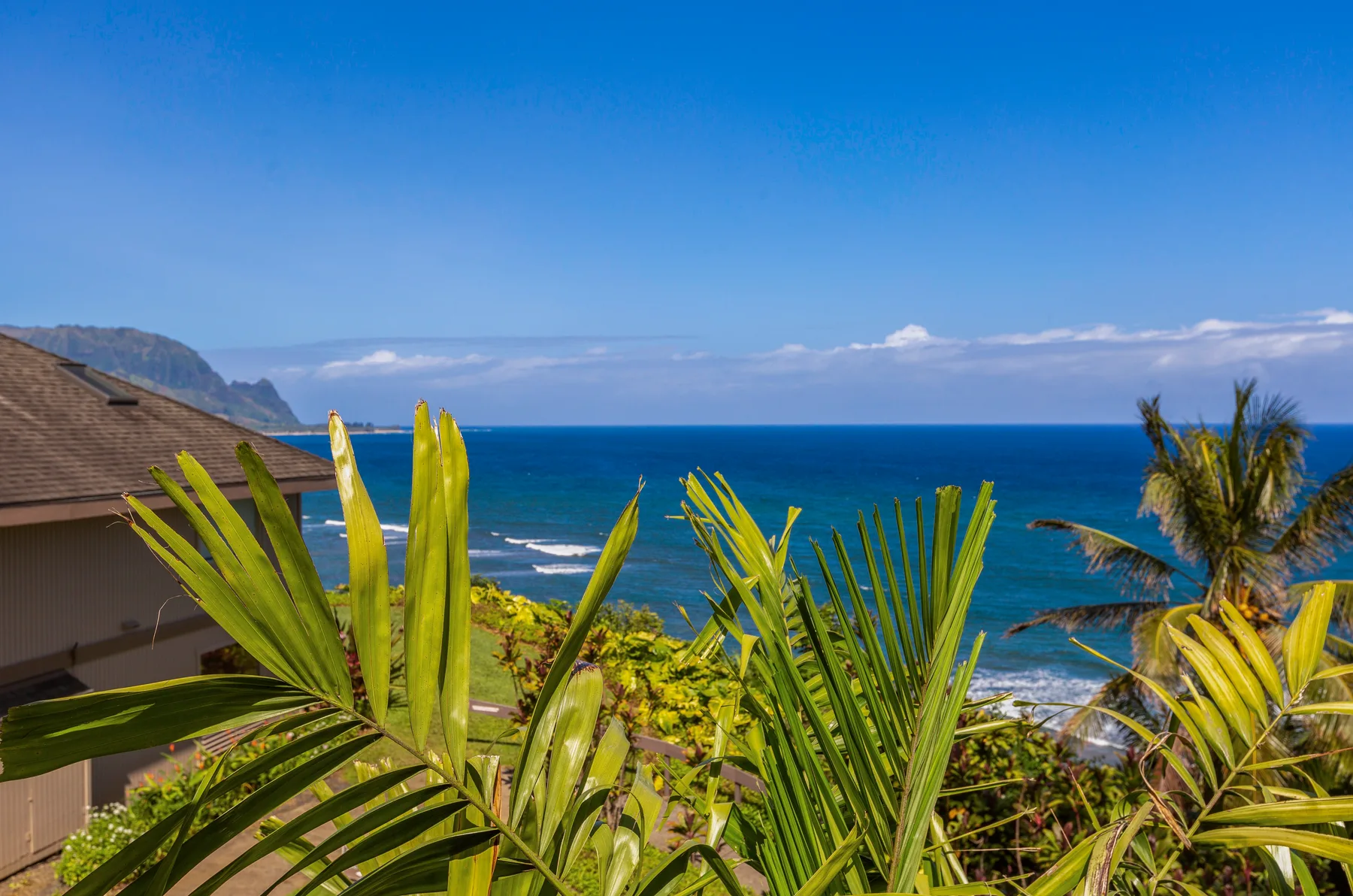 A coastal view shows blue ocean waves beyond palm leaves and a nearby rooftop.