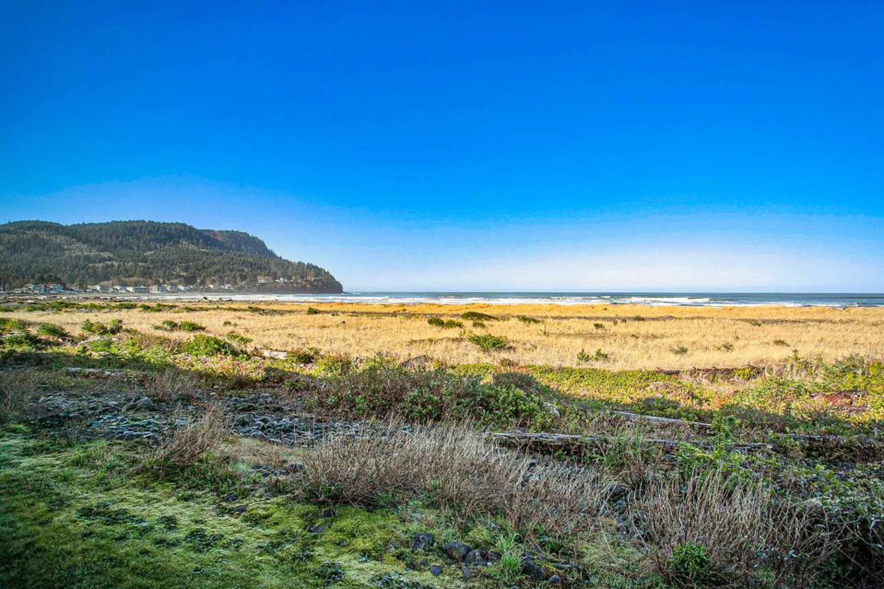 A coastal beach with grassy dunes, ocean waves, and a wooded headland.