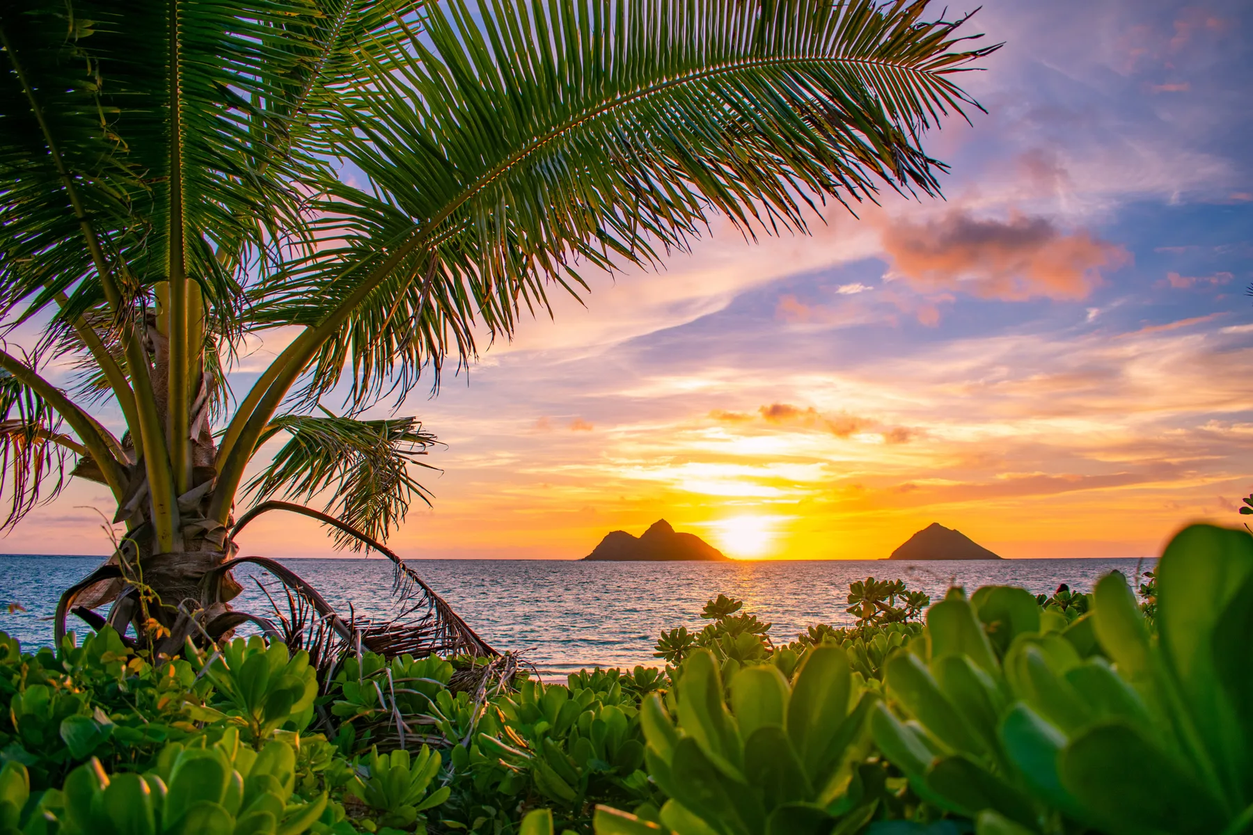 Una playa tropical al atardecer, con hojas de palma que enmarcan el océano y las islas lejanas.