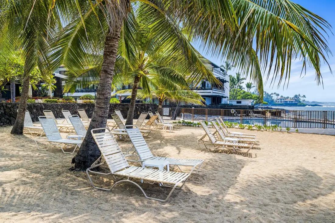 Una playa de arena con asientos bajo las palmeras.