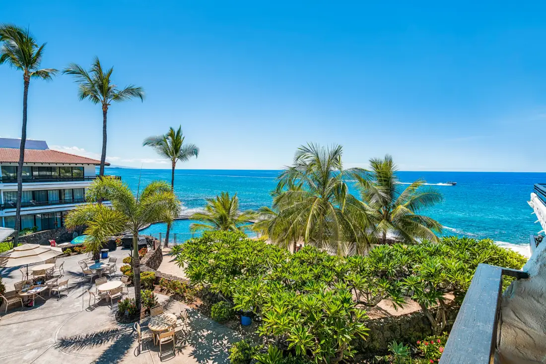 Escena tropical junto al mar, con palmeras, asientos al aire libre y el océano al fondo.