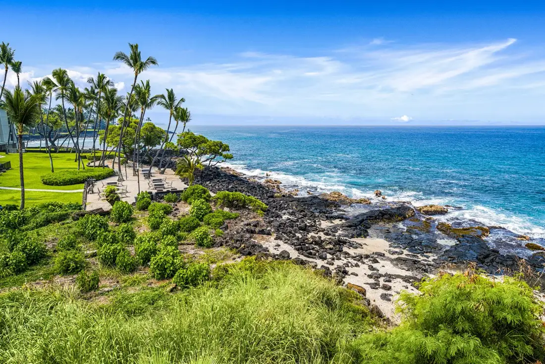 Una costa tropical con palmeras, césped verde y orilla rocosa junto al océano.