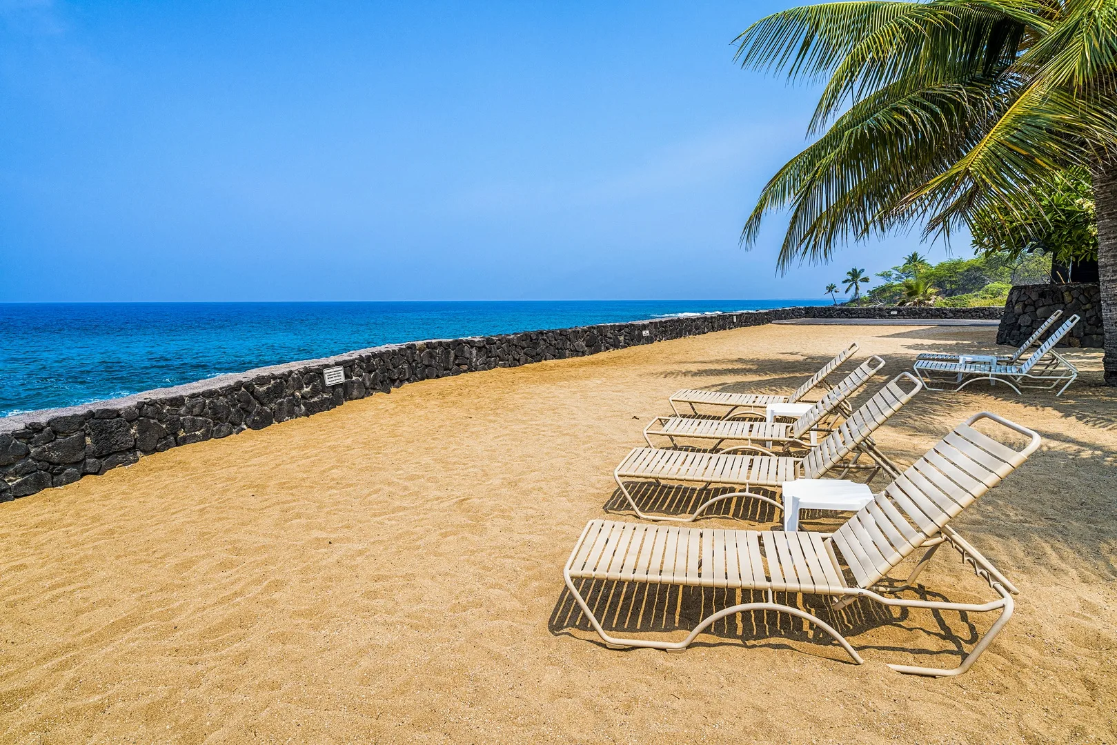 Una zona de descanso junto a la playa, con sillas bajo palmeras junto al mar.