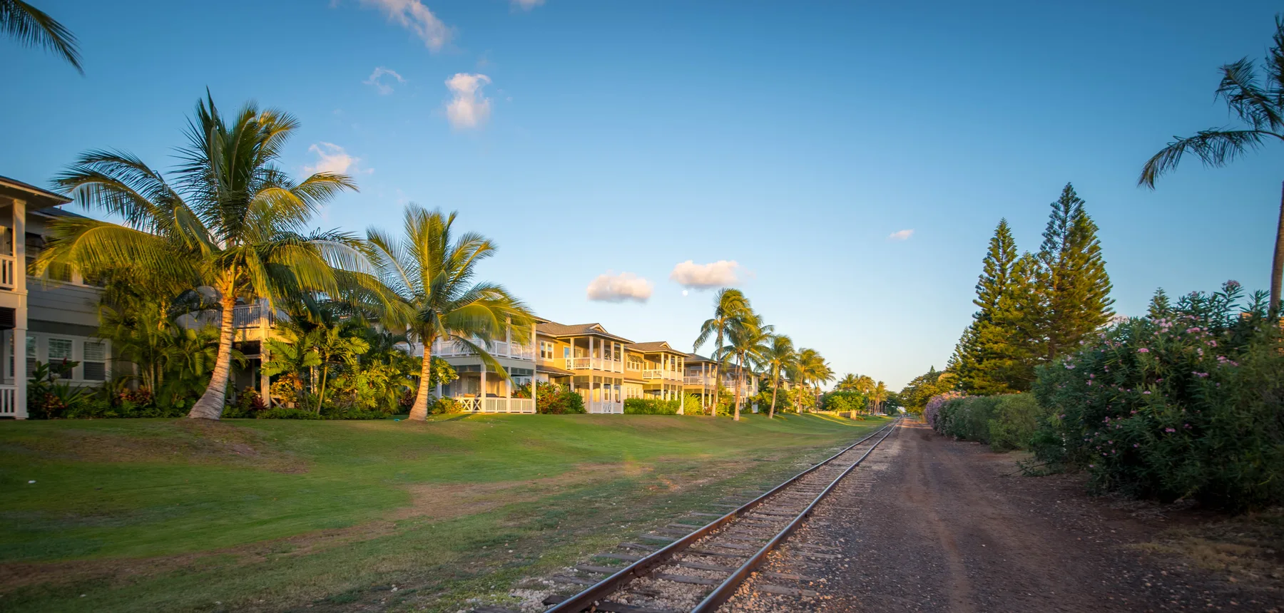Una vía de tren pasa junto a una zona de césped con palmeras y edificios.