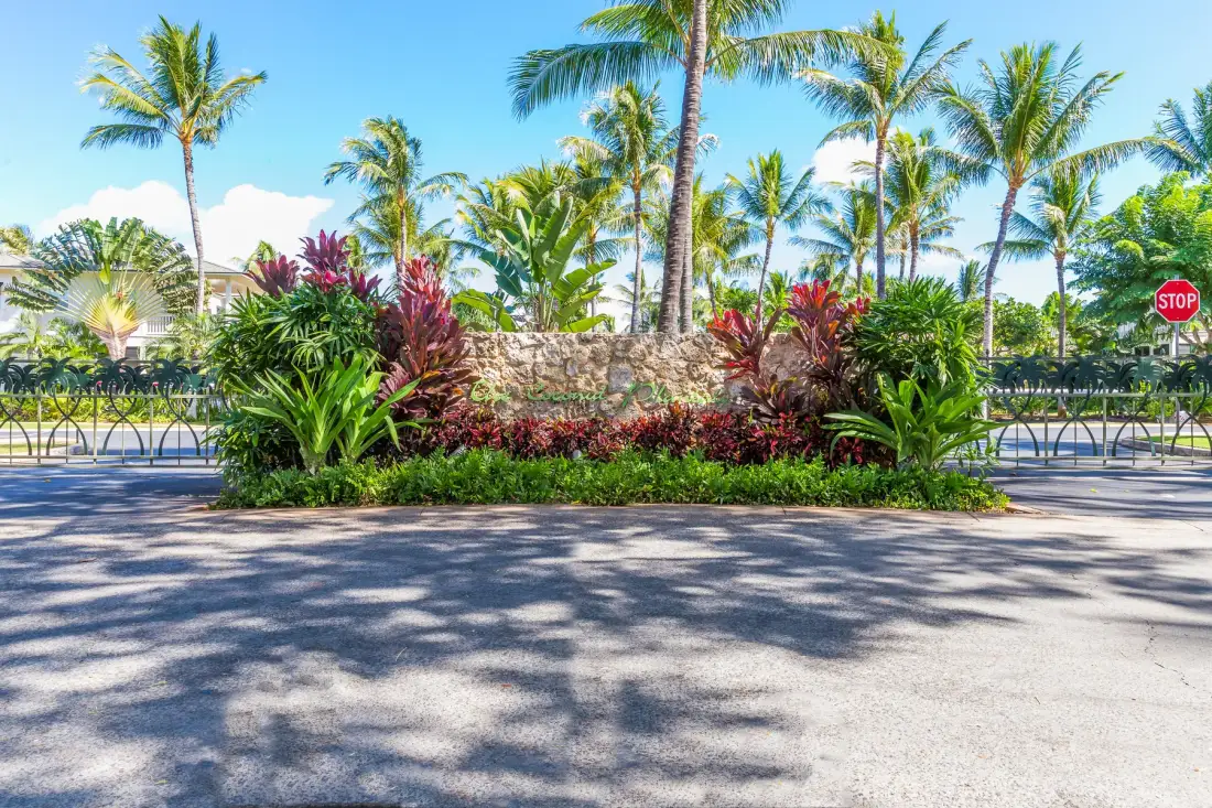 Una entrada ajardinada junto a la carretera, con plantas tropicales y palmeras.