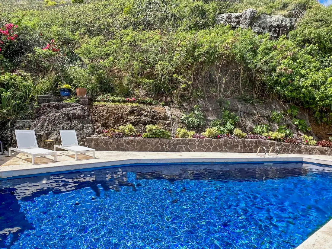 A swimming pool with seating beside a lush, rocky garden.