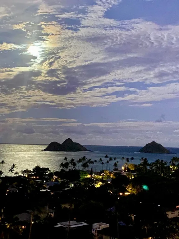 A coastal neighborhood overlooks the ocean and small offshore islands beneath a cloudy sky.