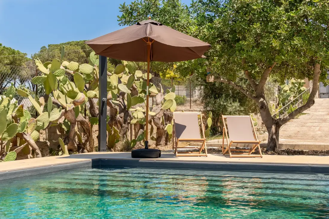 Una piscina al aire libre con tumbonas bajo una sombrilla, rodeada de árboles y cactus.