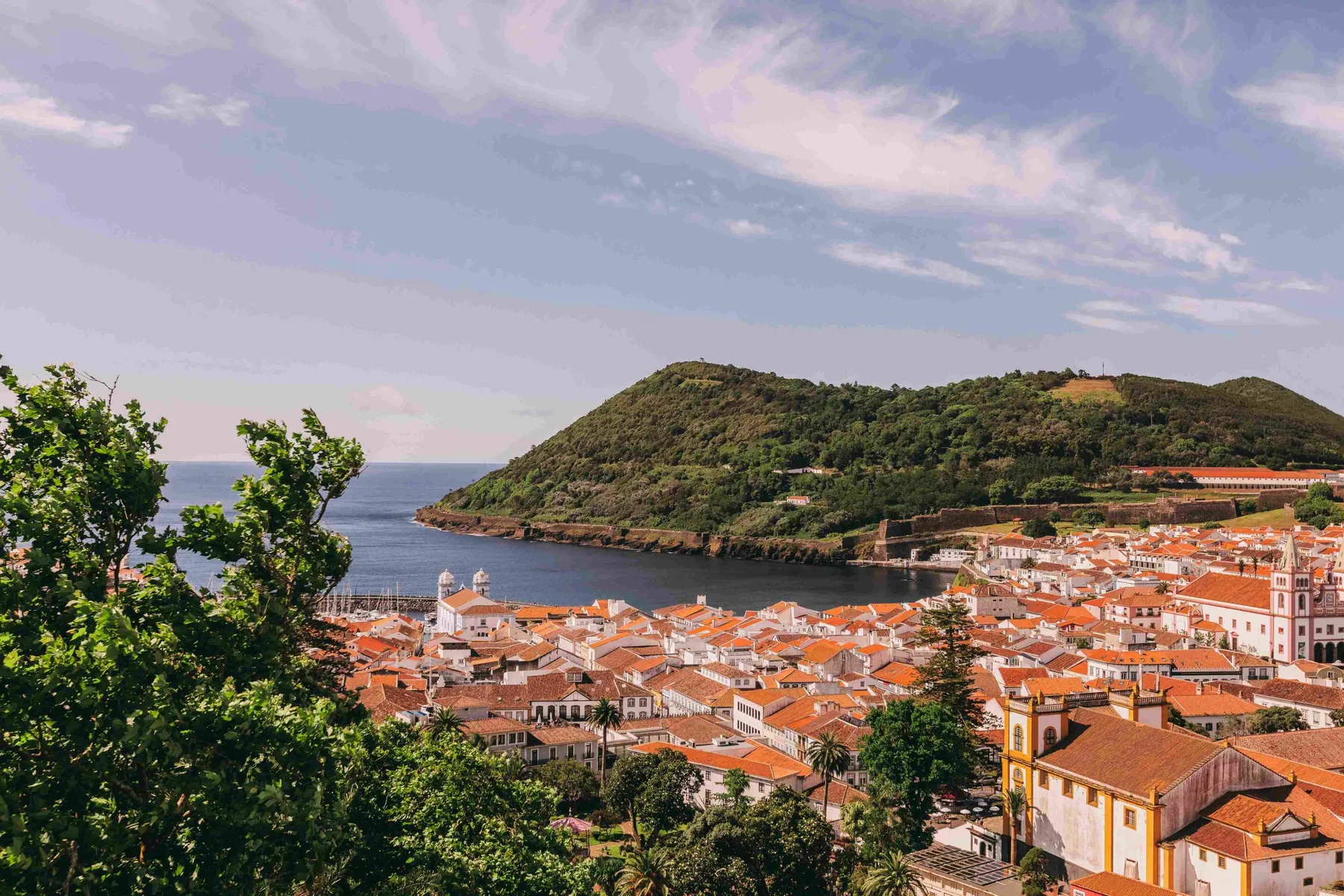 Torel Terra Brava