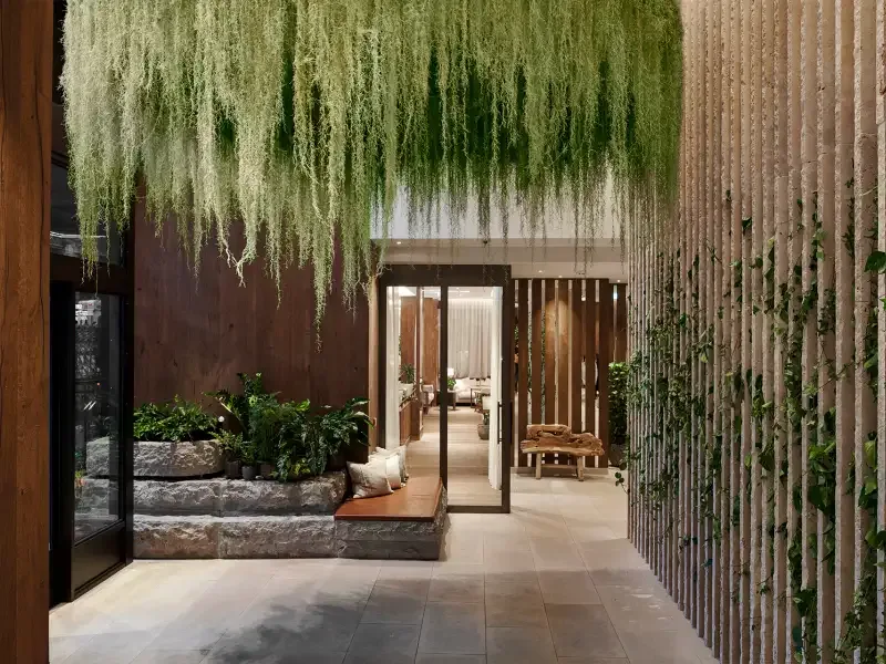 Hotel lobby and entrance