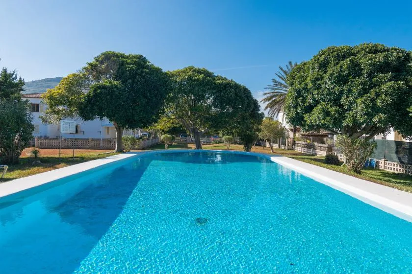 A swimming pool sits among trees and greenery in a sunny outdoor setting.