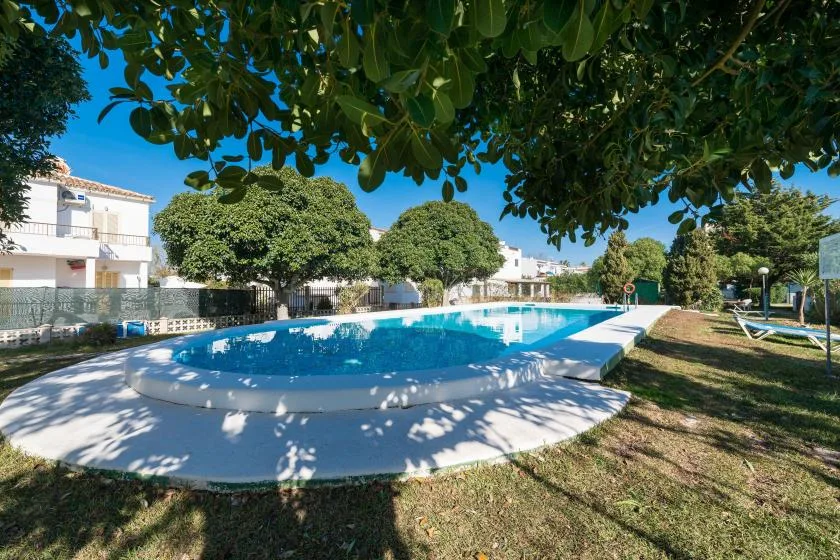 An outdoor swimming pool sits beneath leafy trees beside a grassy area.