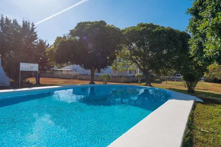 An outdoor swimming pool sits beside a grassy area shaded by leafy trees.