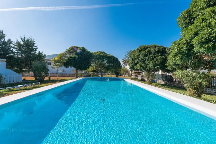A long outdoor swimming pool is surrounded by trees and greenery.