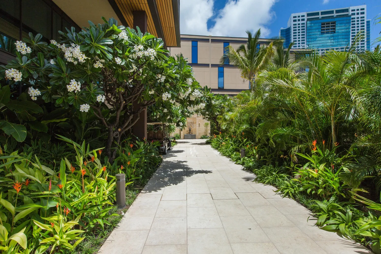 Un camino pavimentado atraviesa un exuberante jardín tropical y conduce a un edificio moderno.