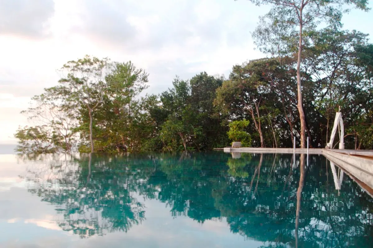 Trees reflected in the pool