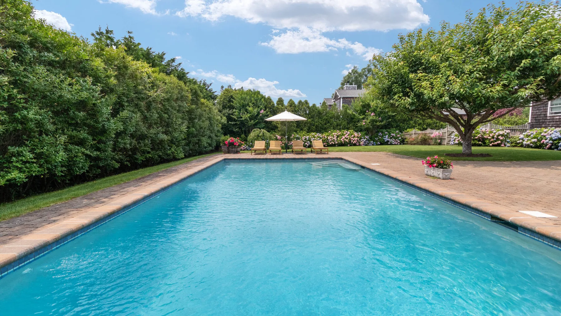 An outdoor swimming pool bordered by greenery and a patio.
