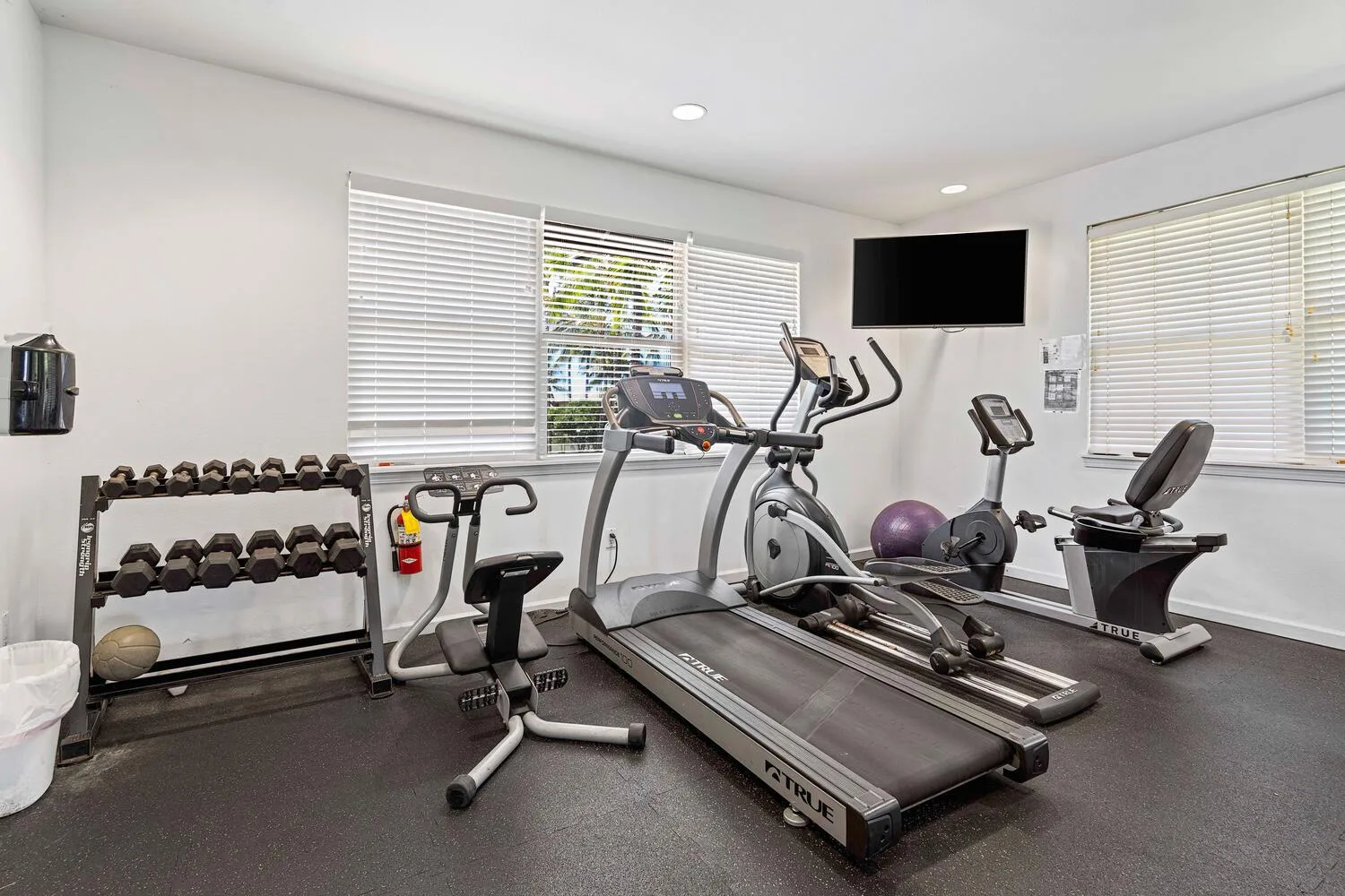 Un gimnasio en casa con cintas de correr, bicicletas estáticas, pesas y ventanas.