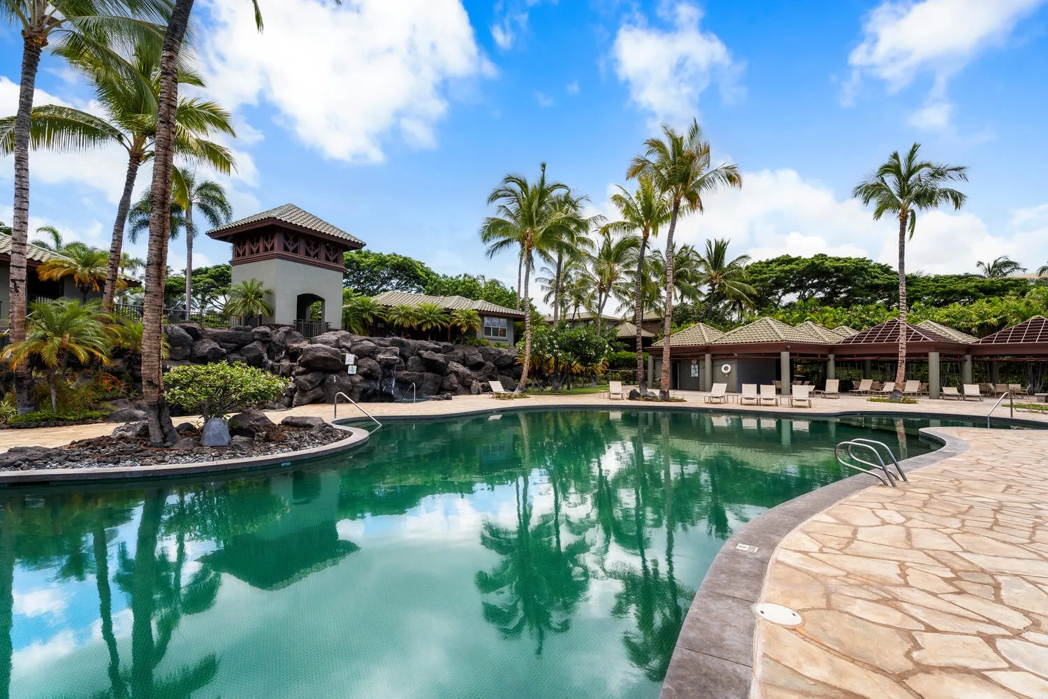 Una piscina tropical rodeada de palmeras y una terraza curva de piedra.