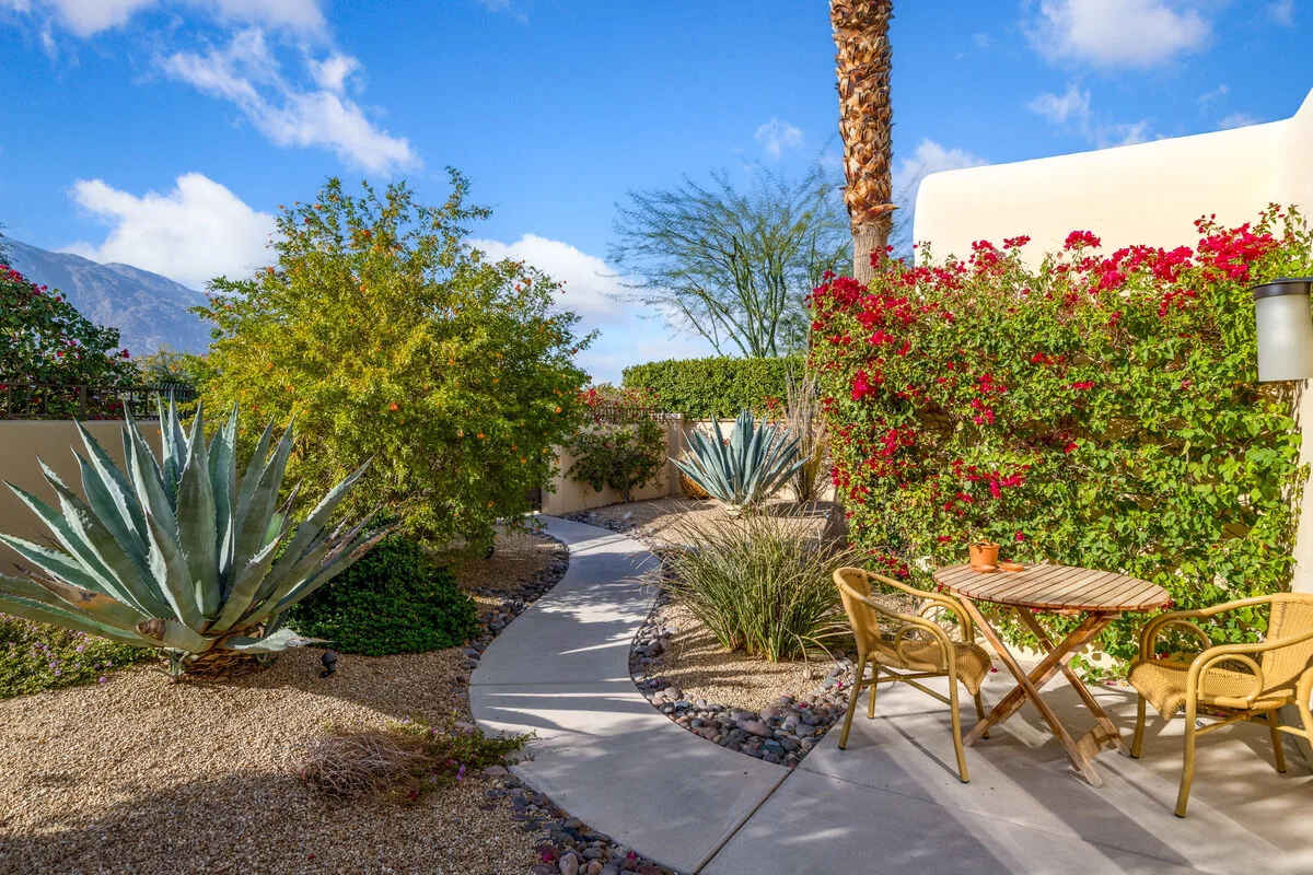 Adobe Barona Dream