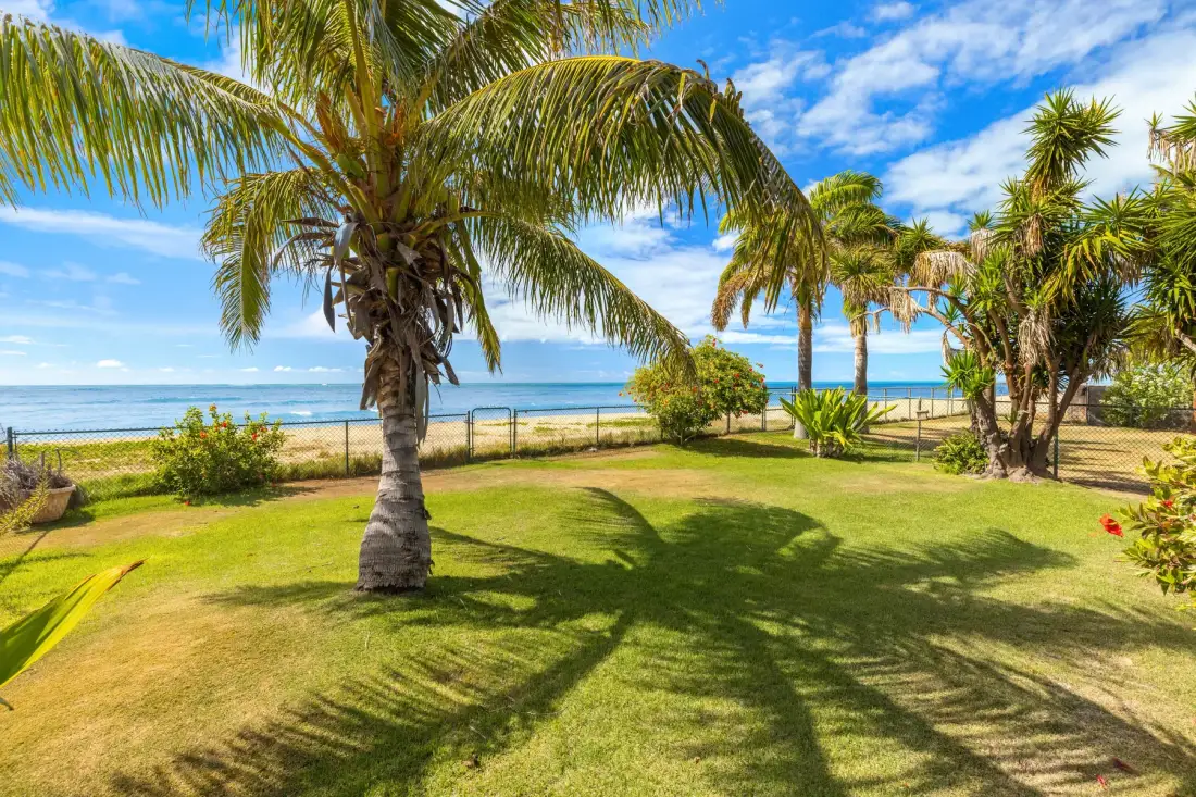 A sunny beachfront lawn with palm trees and the ocean beyond.