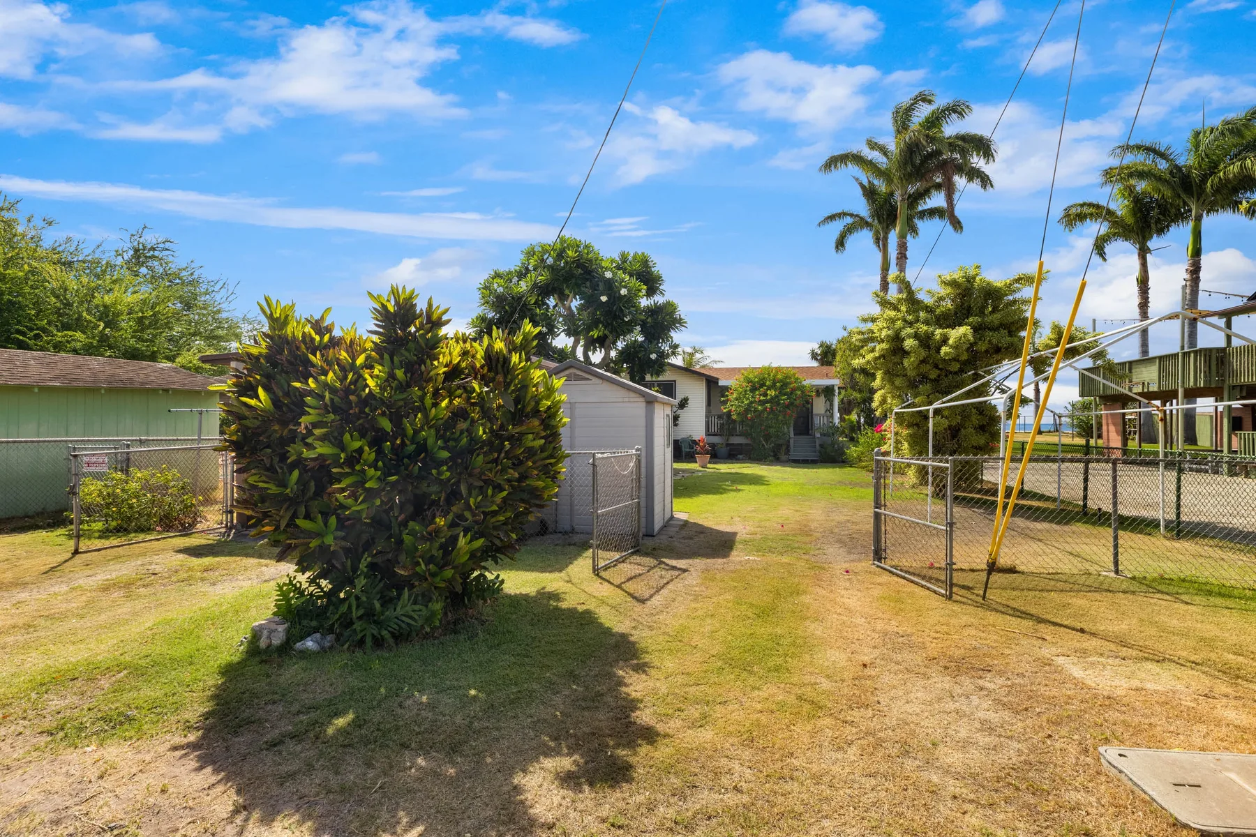 A sunny outdoor yard with grass, trees, and a chain-link fence.