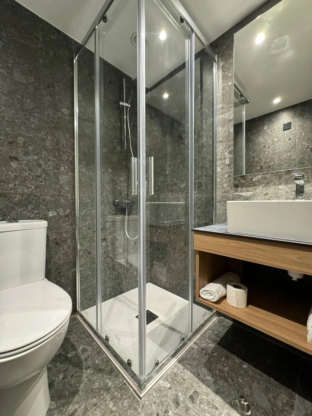 Baño con inodoro, lavabo, ducha y espejo.