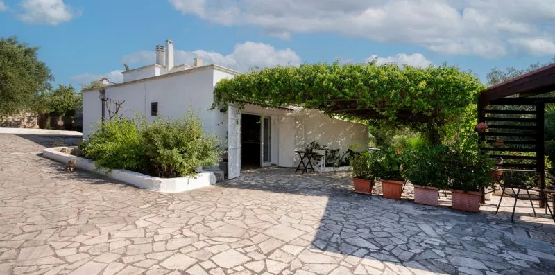A white building opens onto a paved patio shaded by leafy vines.