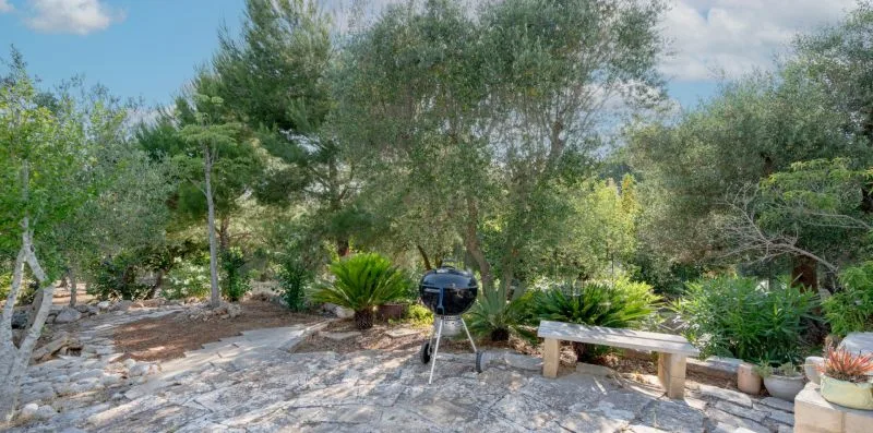 A garden patio with stone paving, leafy plants, and a barbecue grill.
