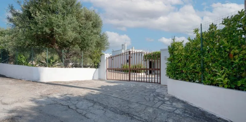An exterior driveway leads to a metal gate between white walls and greenery.