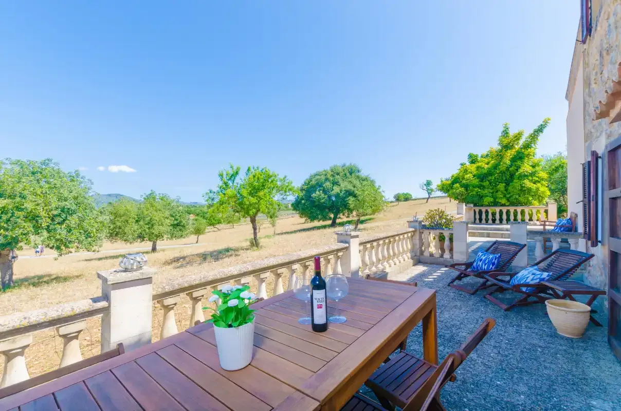 A sunny outdoor terrace has wooden seating and a view of trees and open land.