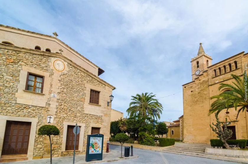 A stone-paved plaza between historic buildings, with palm trees and a clock tower.