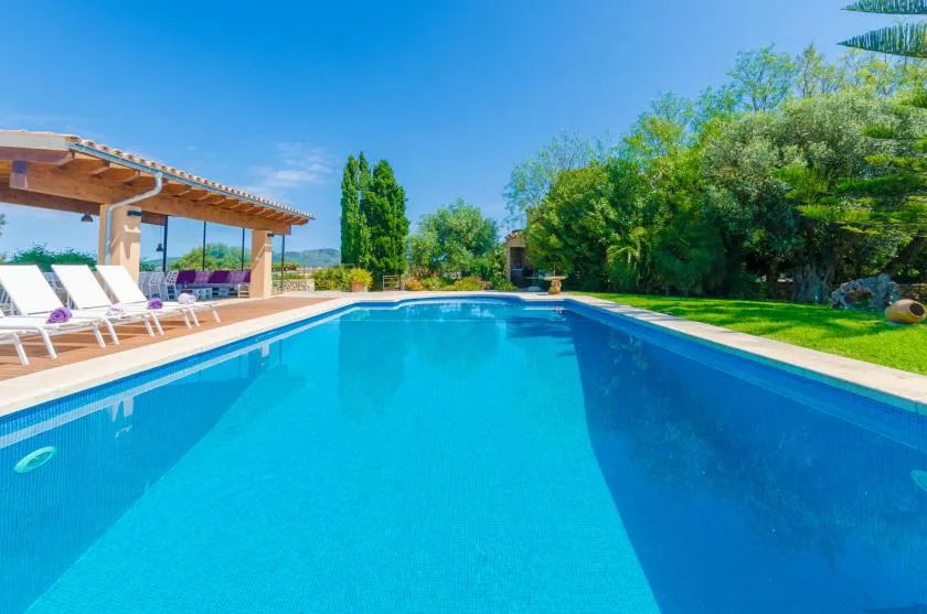 Outdoor swimming pool beside a covered patio and lounge seating.