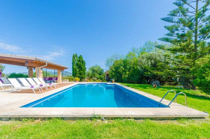 A swimming pool sits beside a lawn, with loungers under a shaded patio.
