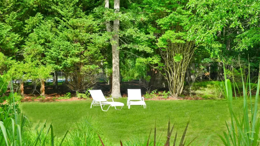 A green garden lawn with white lounge chairs beneath leafy trees.