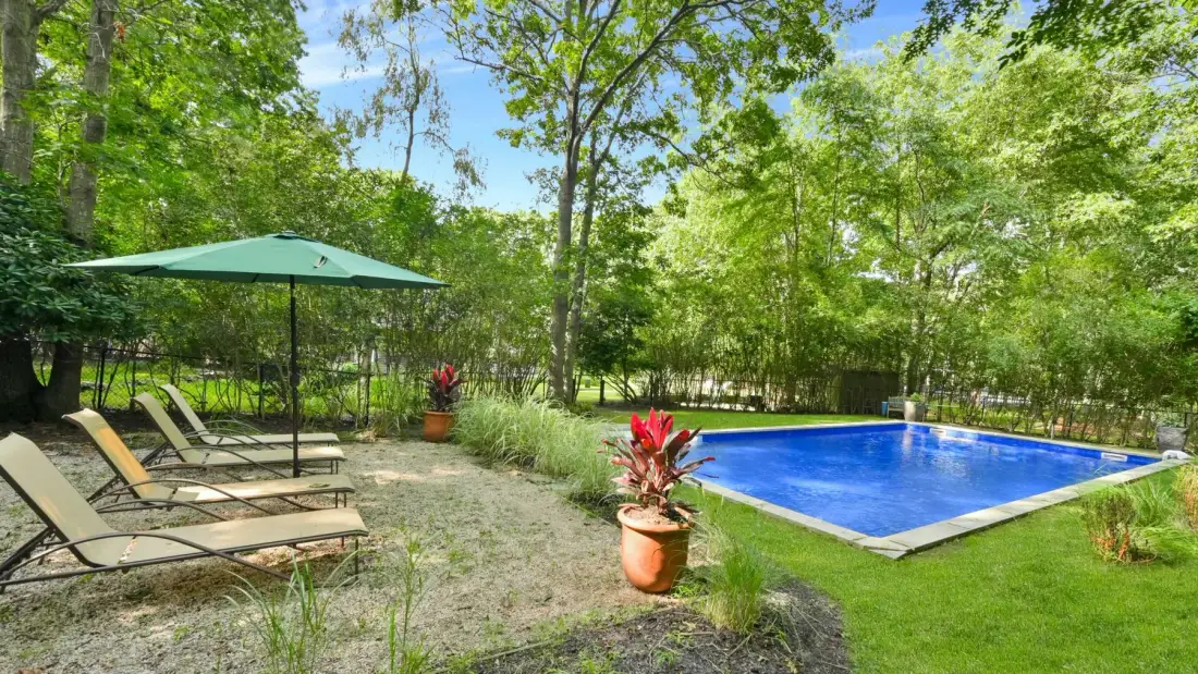 A swimming pool and lounge seating sit in a leafy garden.