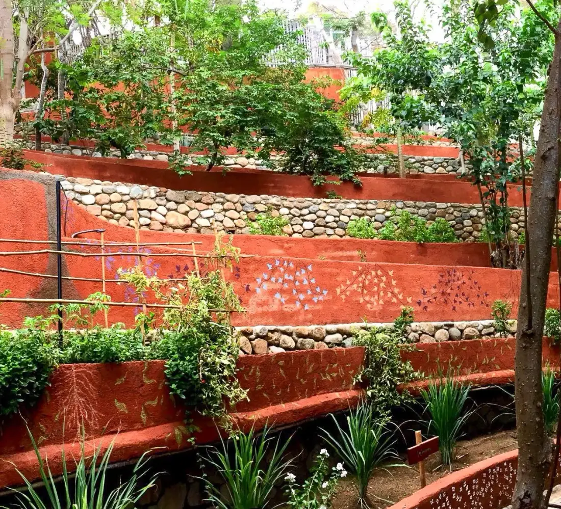 Jardín en terrazas con muros de piedra y plantas.