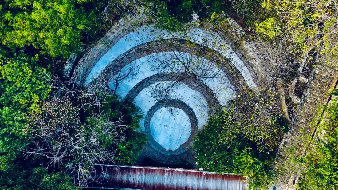 Anfiteatro circular de piedra rodeado de vegetación.