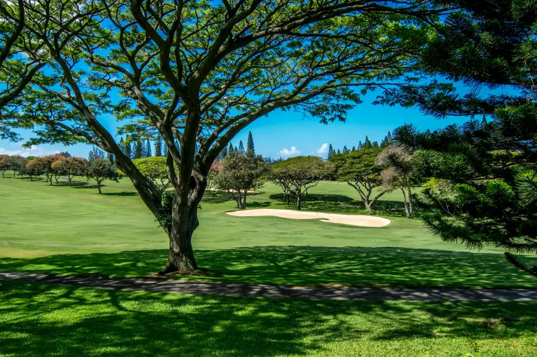Un campo de golf con un búnker de arena, árboles y césped amplio.