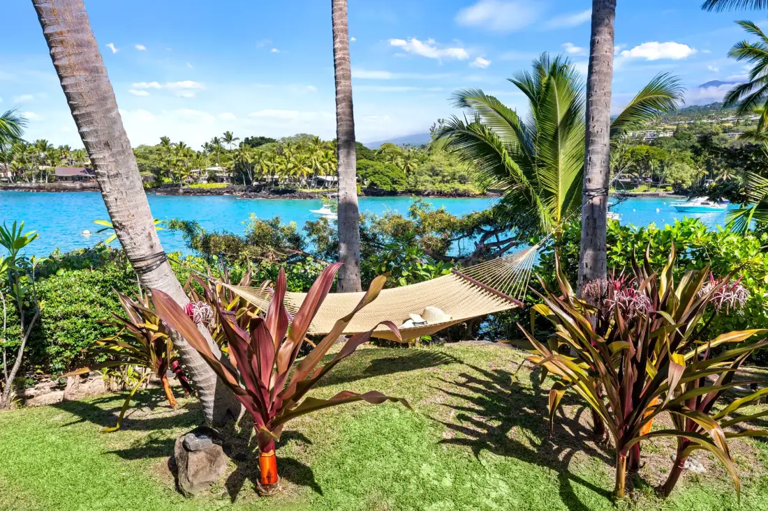 A garden with tropical plants overlooks a bright blue body of water.