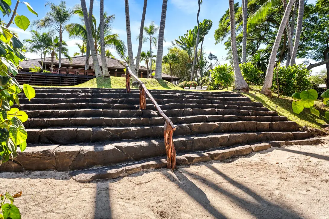 Stone steps lead up through a tropical garden lined with palm trees.