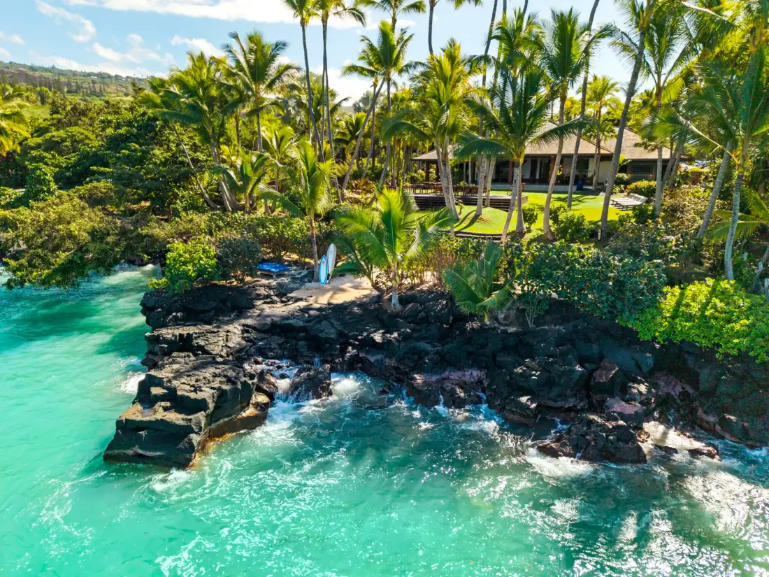 A tropical shoreline with turquoise water, dark rocks, and palm trees.