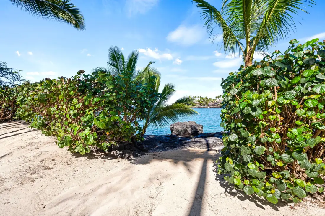 A sandy beach path leads between tropical greenery to the water.