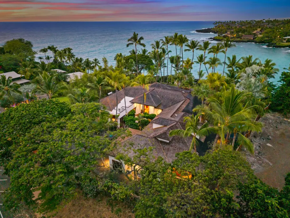 Aerial view of a tropical coastal property surrounded by palms and greenery.
