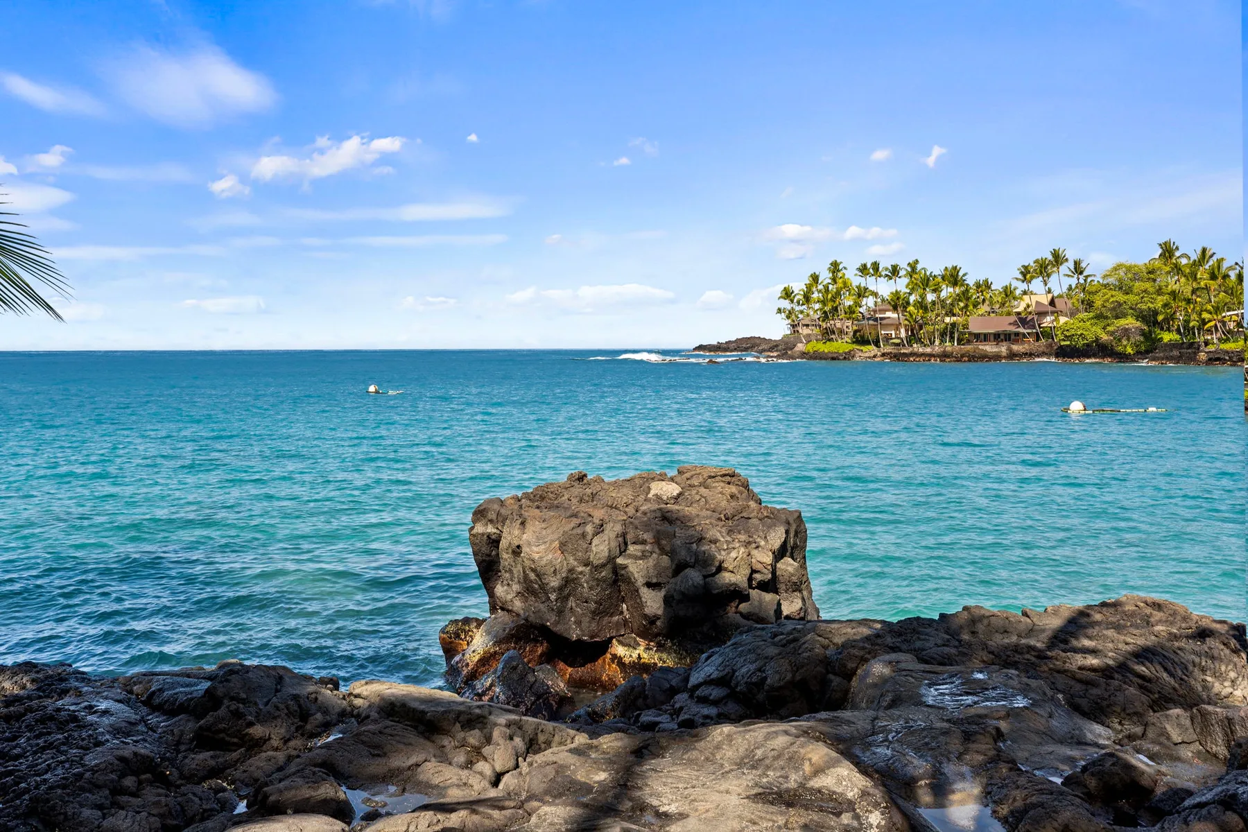A rocky shoreline overlooks calm turquoise water and a palm-lined coast.