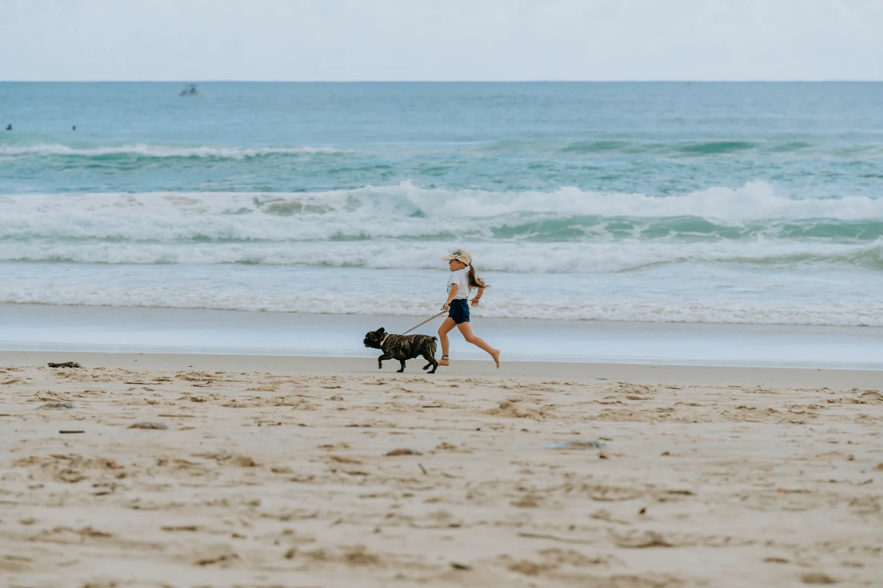 Una persona pasea a un perro por la playa junto al océano.