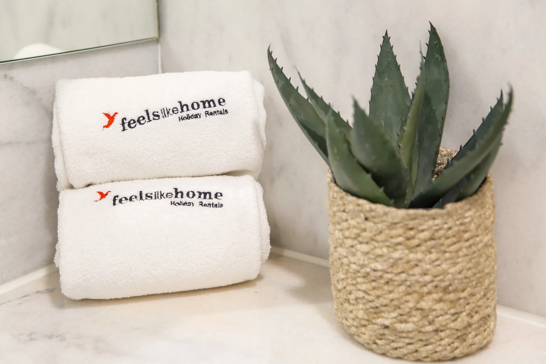 Folded white towels and a potted succulent sit on a bathroom counter.