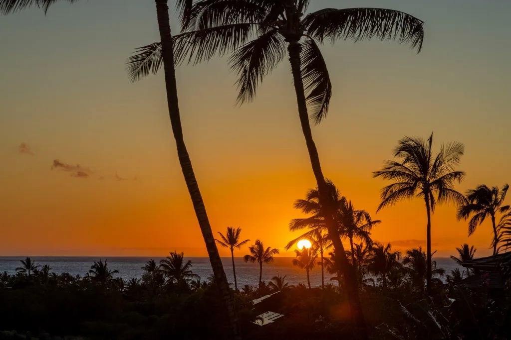 Las palmeras se recortan contra un atardecer anaranjado sobre el océano.