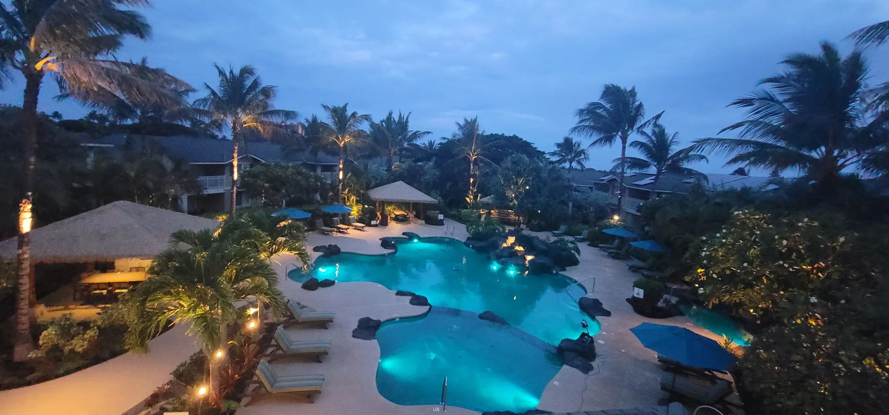 A resort pool glows at dusk, surrounded by palm trees and lounge seating.