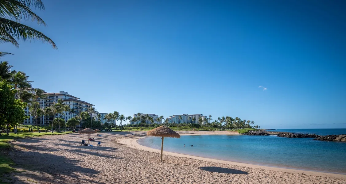 A sandy beach curves along calm blue water, with palm trees and buildings nearby.